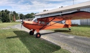 1980 F-21 Taylorcraft