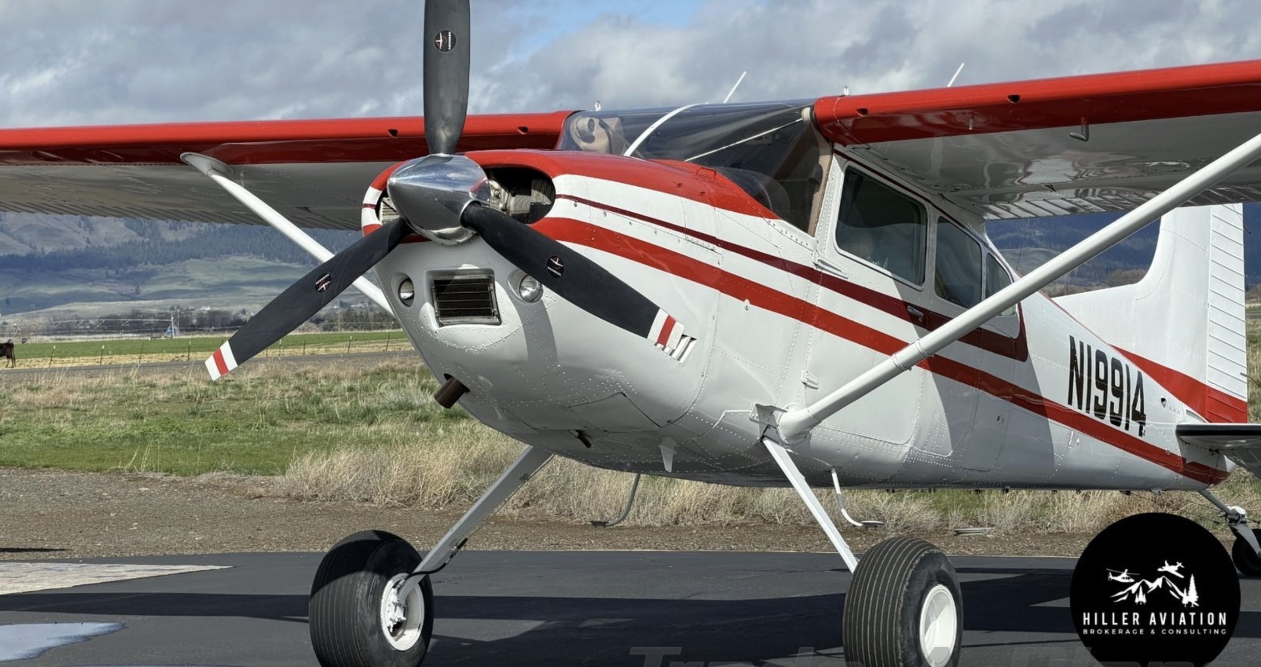 1981 Cessna 180K – Taildraggers.com