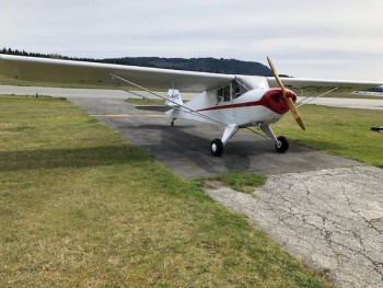 1940 Taylorcraft BL65