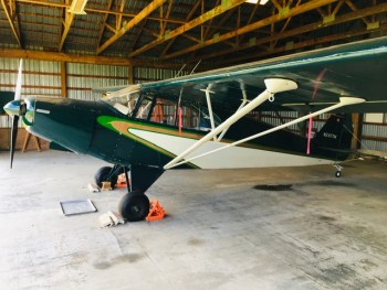 1947 PA-12 Super Cruiser