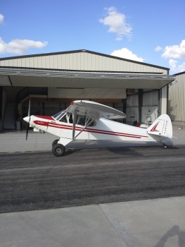1955 PA-18 Super Cub
