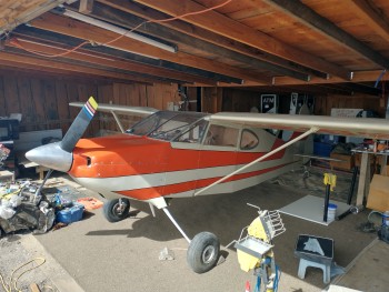 1960 Nesmith Cougar