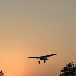 img_6739