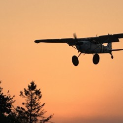 img_6741
