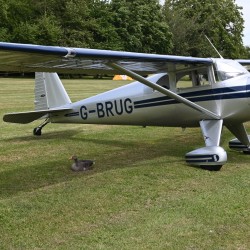 g-brug-and-g-oose