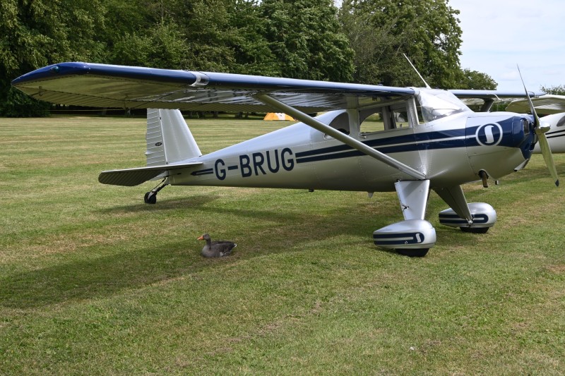 g-brug-and-g-oose